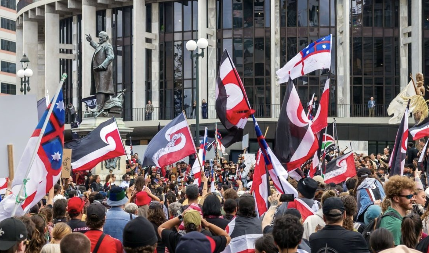 Silent Erosion and Unyielding Resilience of New Zealand Democracy