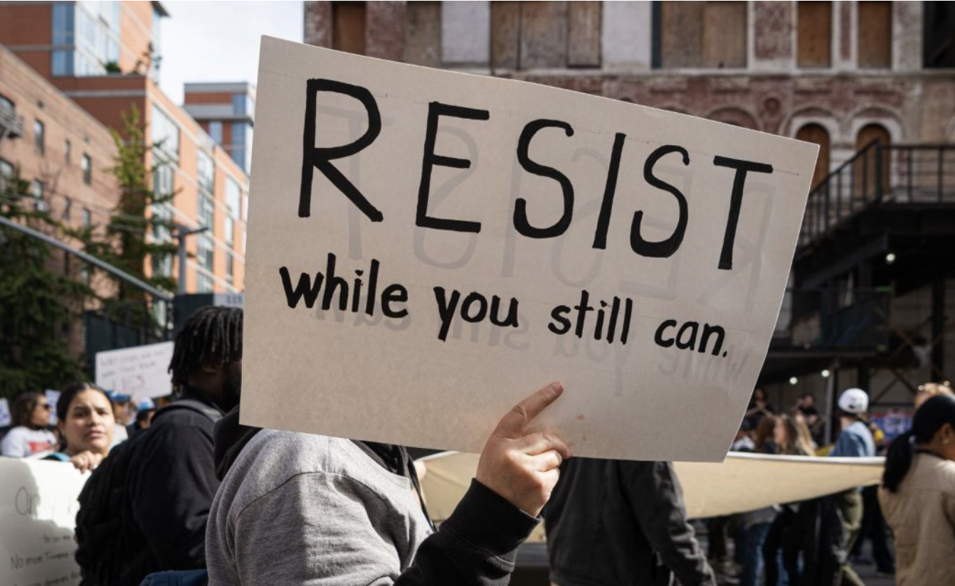 What is Democratic Resilience